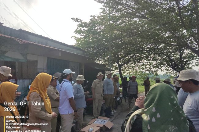 DKPP KLATEN DUKUNG GERAKAN PENGENDALIAN HAMA TIKUS DI KEBONARUM KAB. KLATEN