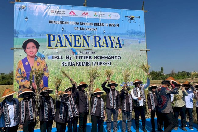DKPP Klaten Mendampingi Kunjungan Kerja Spesifik Komisi IV DPR RI dalam Kegiatan Panen Raya