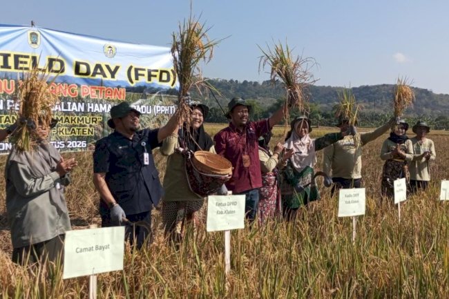 Farmer Field Day di KT Maju Makmur Kebon Bayat, Ketua DPRD Klaten Dorong Inovasi Pertanian