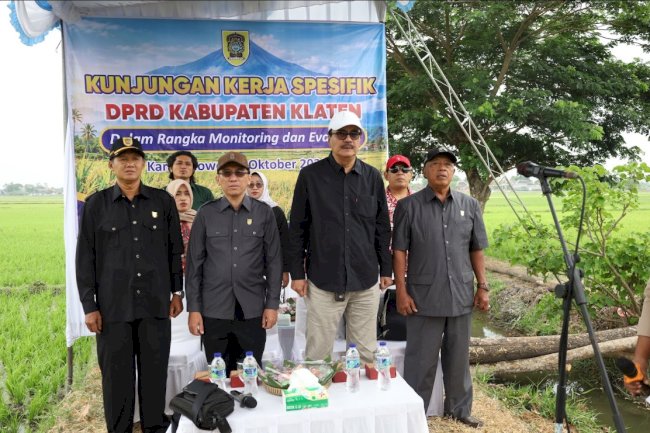 DKPP Klaten Siapkan Kunjungan Kerja Spesifik DPRD di Persawahan Desa Demangan Karangdowo