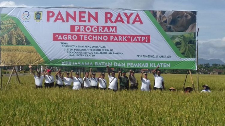 Panen Raya Padi Program Agro Techno Park (ATP) di Klaten
