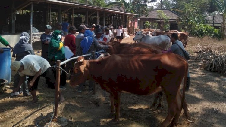 Pelayanan Penanggulangan Kemajiran oleh UPPT DPKPP