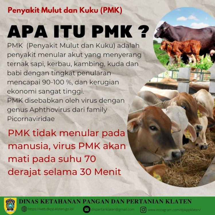 PMK? Ini pengertiannya