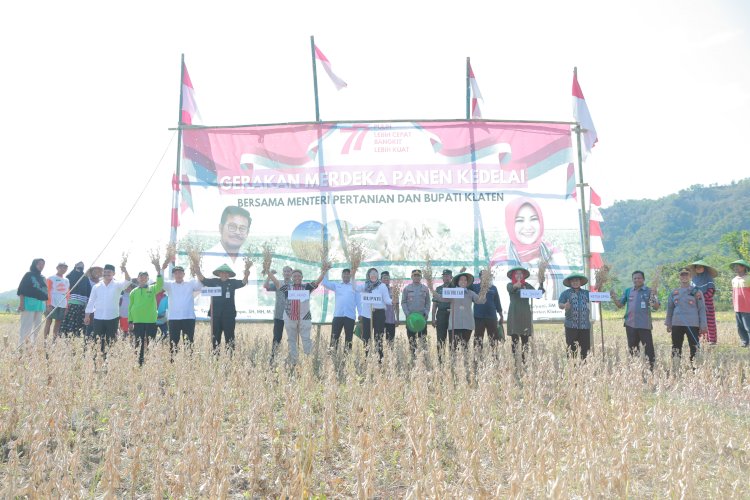 Gerakan Merdeka Panen Kedelai Bersama Menteri Pertanian dan Bupati Klaten