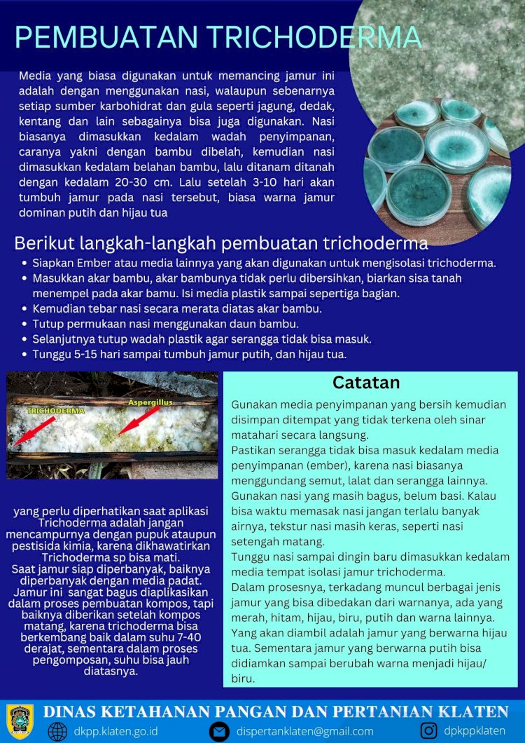 Mudah, Begini Langkah Pembuatan Trichoderma 