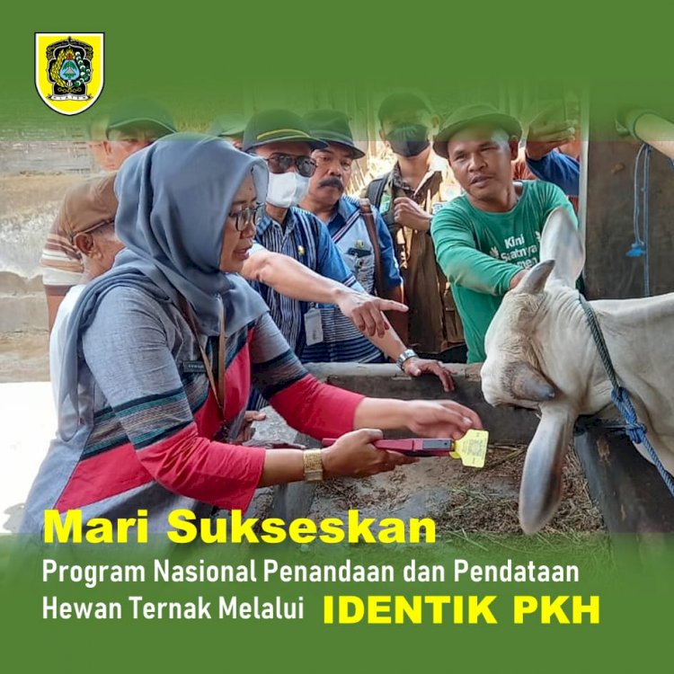 Peduli lindungi ternak dengan IDENTIK PKH