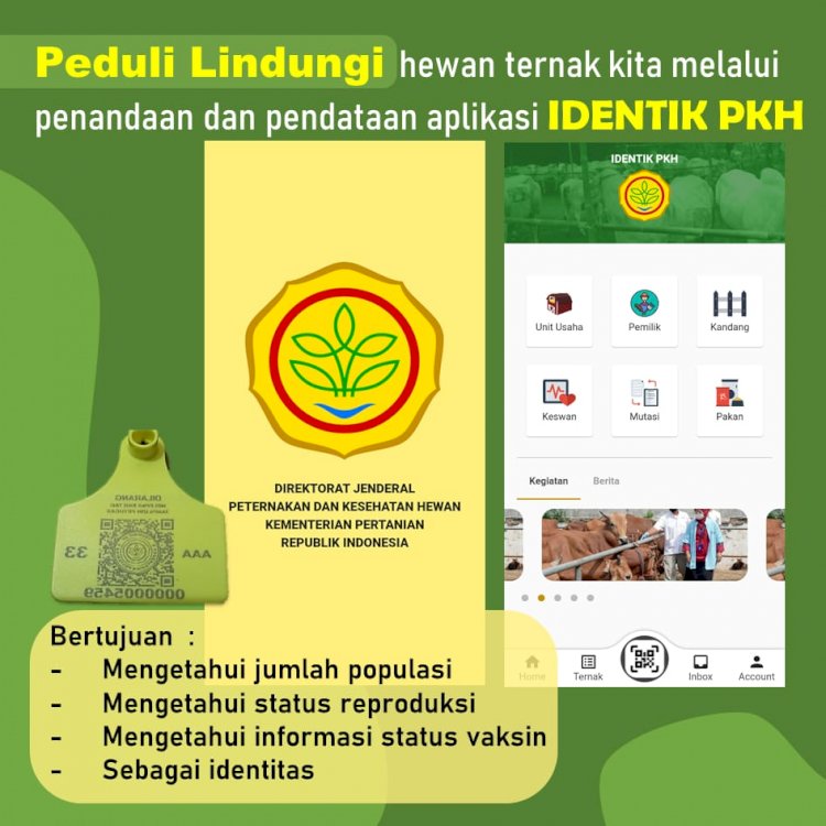 Peduli lindungi ternak dengan IDENTIK PKH