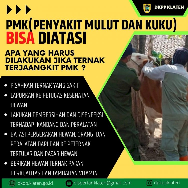 PMK bisa diatasi, begini caranya..