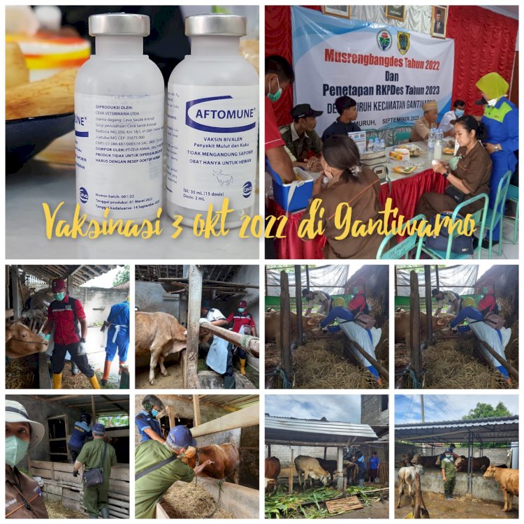 Giat vaksinasi PMK DKPP Klaten