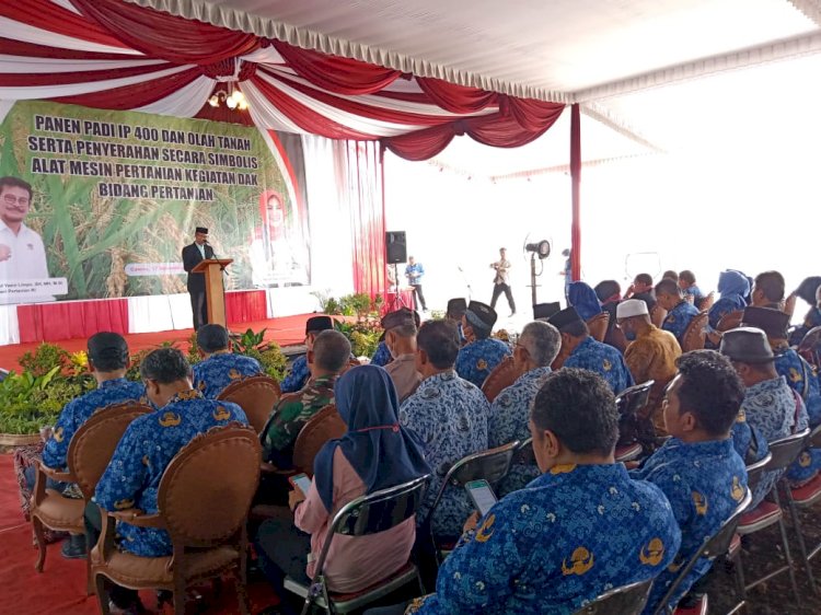 Kegiatan olah tanah dan panen di kecamatan Cawas