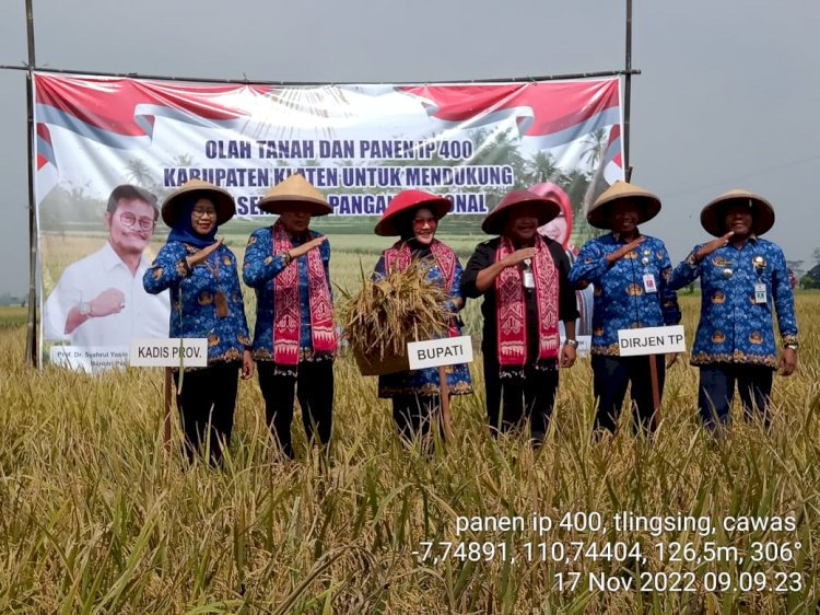 Kegiatan olah tanah dan panen di kecamatan Cawas