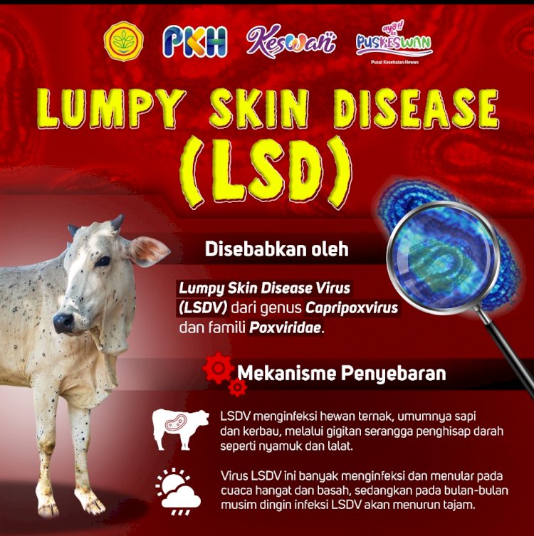 Mekanisme Penyebaran LSD (Lumpy Skin Disease) pada ternak