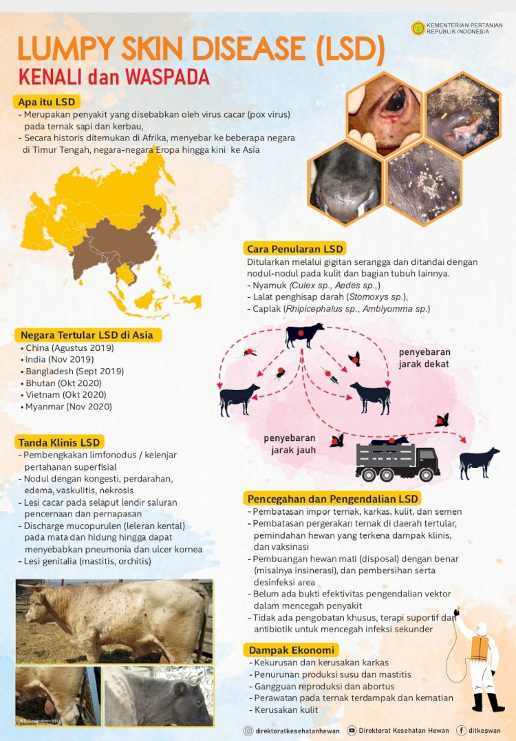 Mekanisme Penyebaran LSD (Lumpy Skin Disease) pada ternak