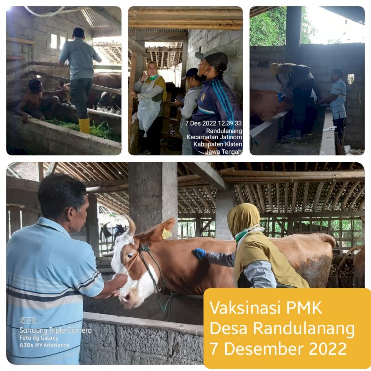 Giat Vaksinasi PMK