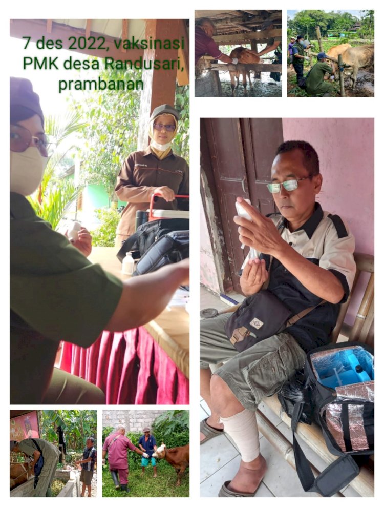 Giat Vaksinasi PMK