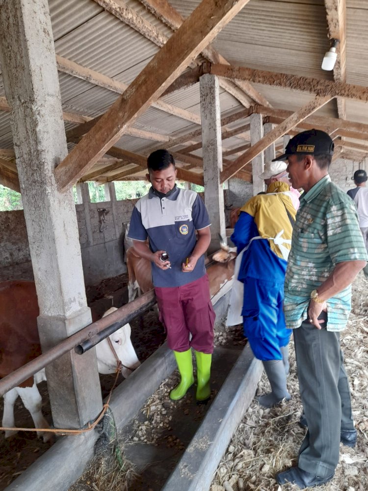 Giat Vaksin PMK 24 Januari 2023