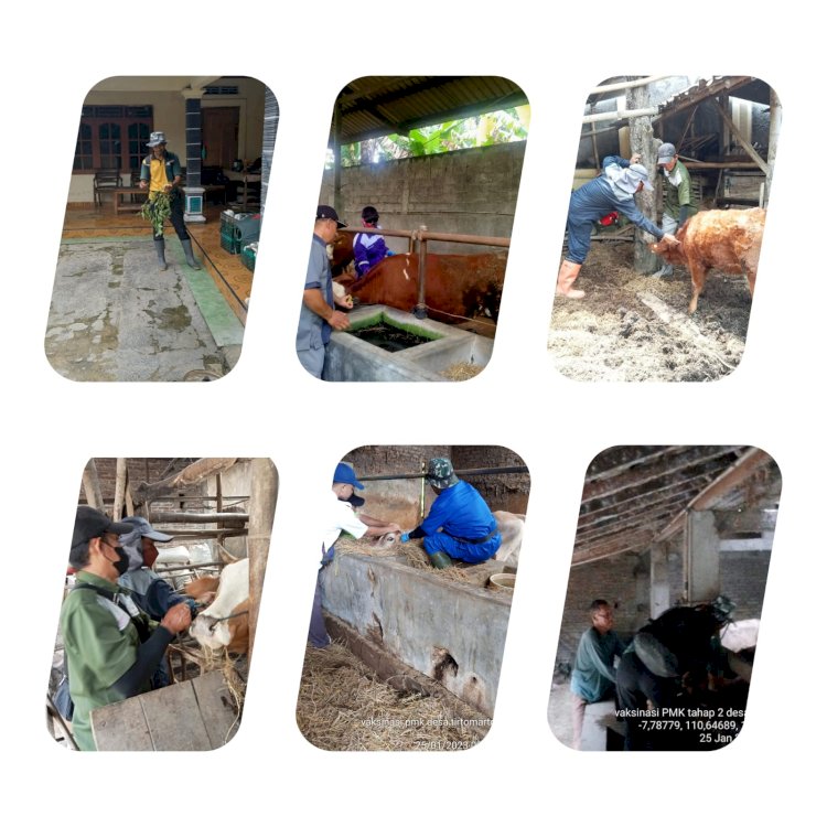 Giat Vaksin PMK 25 Januari 2023