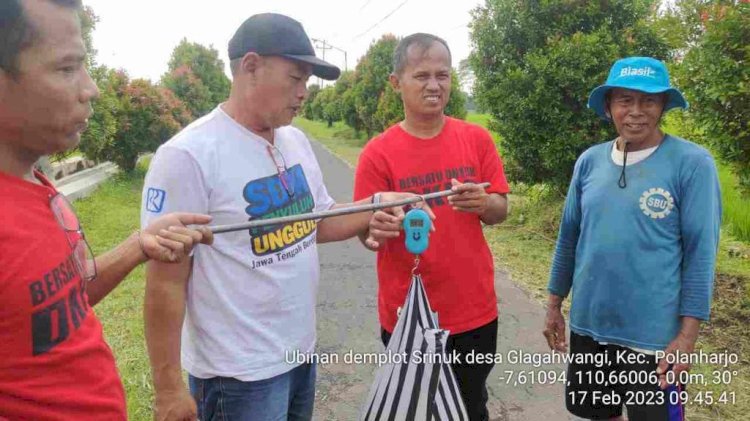 Kegiatan Balai Penyuluhan Pertanian Klaten