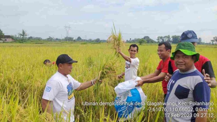 Kegiatan Balai Penyuluhan Pertanian Klaten