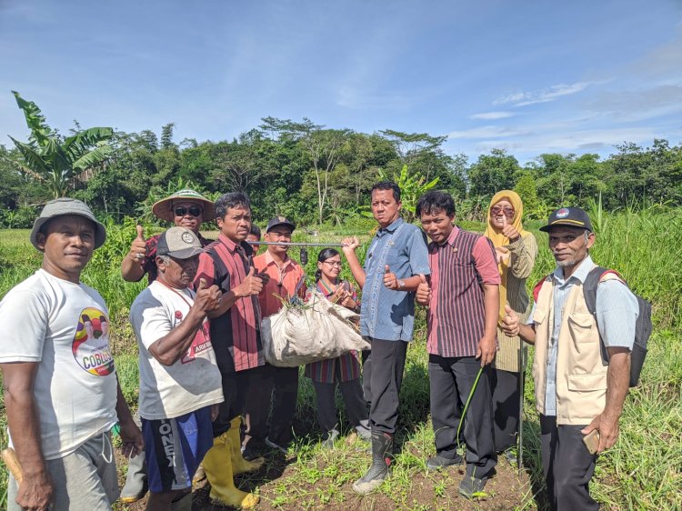 Kegiatan Balai Penyuluhan Pertanian Klaten