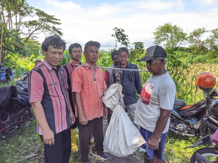 Kegiatan Balai Penyuluhan Pertanian Klaten