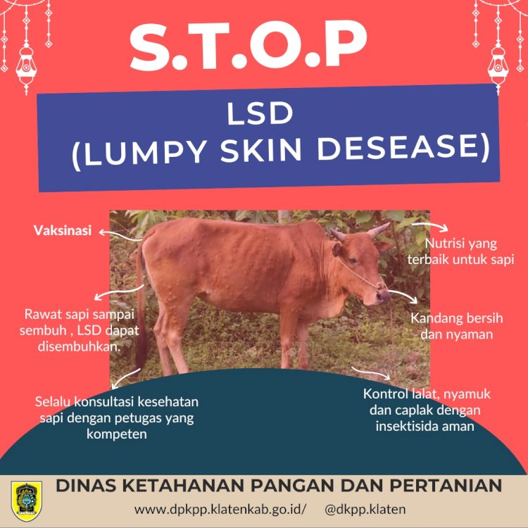 Pencegahan LDS ( Lumpy Skin Desease )