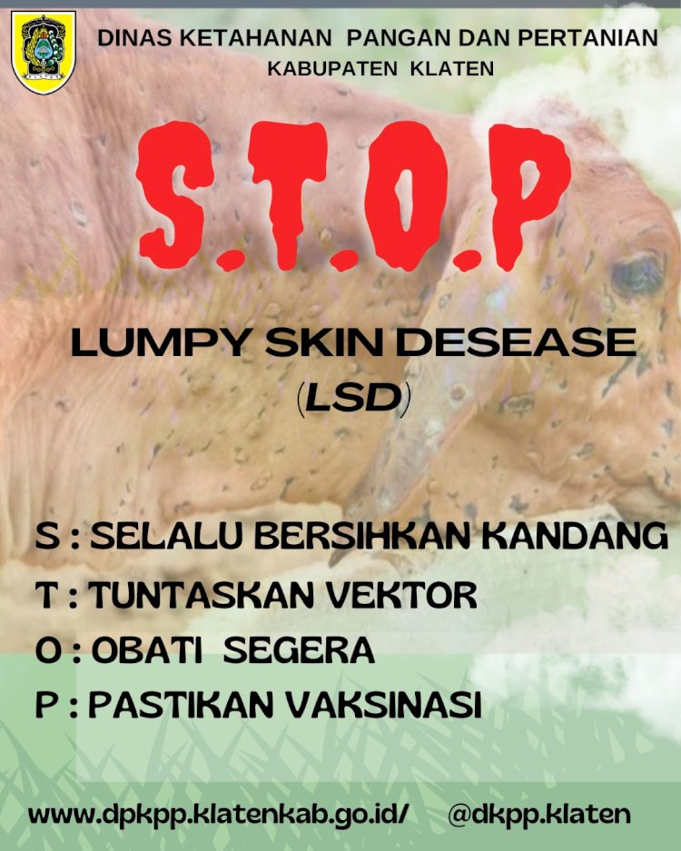 Pencegahan LDS ( Lumpy Skin Desease )