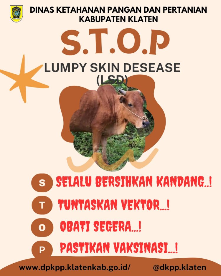 Pencegahan LDS ( Lumpy Skin Desease )