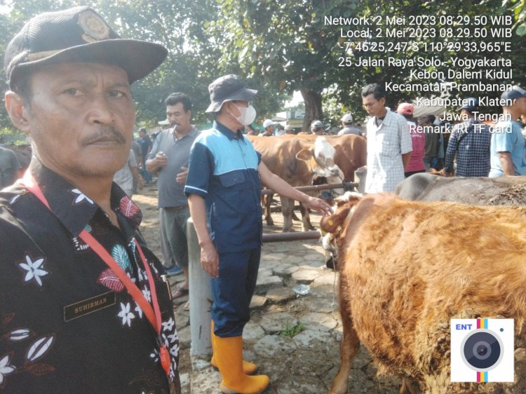 Pelayanan Keswanling di Pasar hewan Prambanan