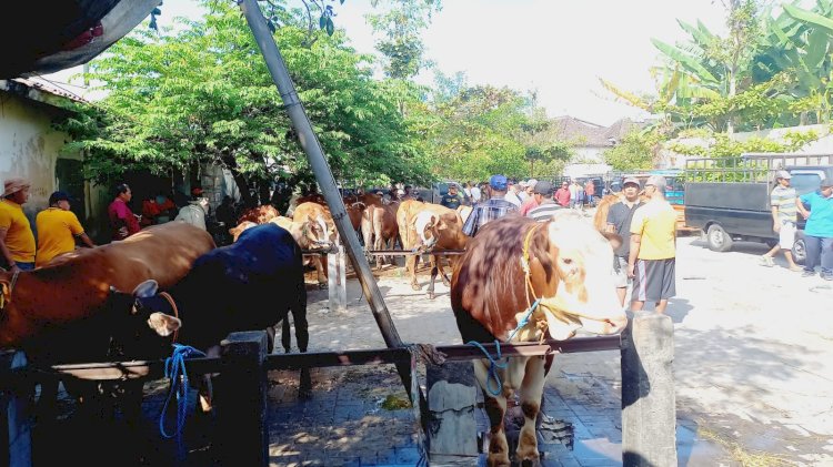 Pelayanan kesehatan hewan di pasar hewan