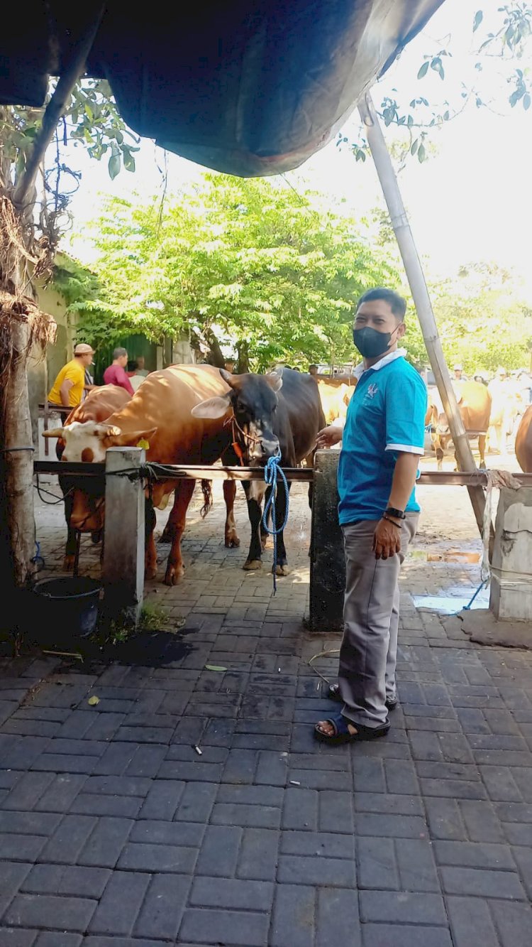 Pelayanan kesehatan hewan di pasar hewan