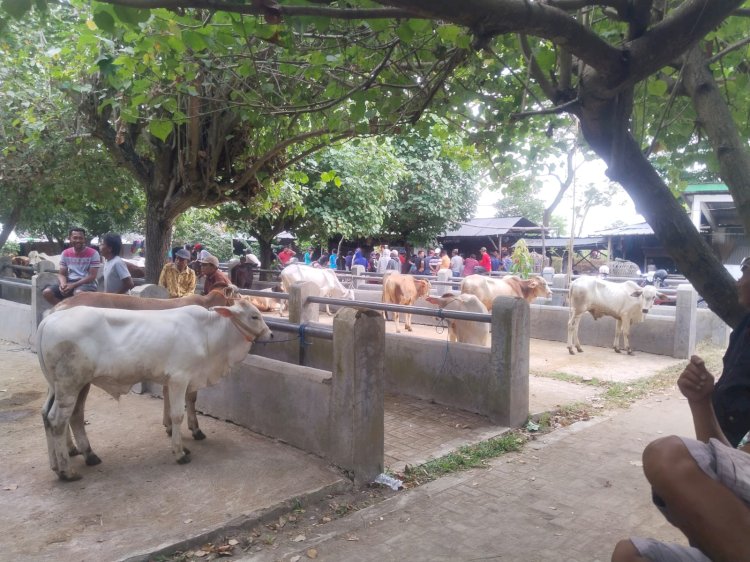 Pelayanan kesehatan hewan di pasar hewan