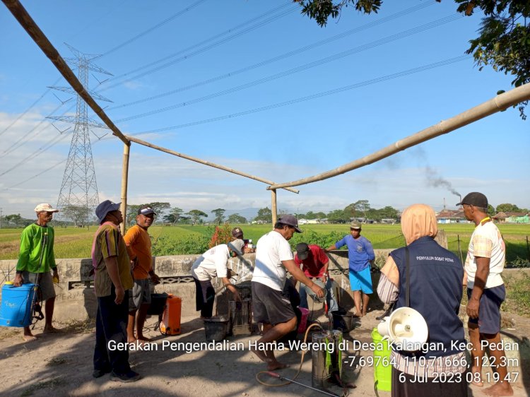 Kegiatan pelatihan tematik dan gerdal WBC di BPP pedan