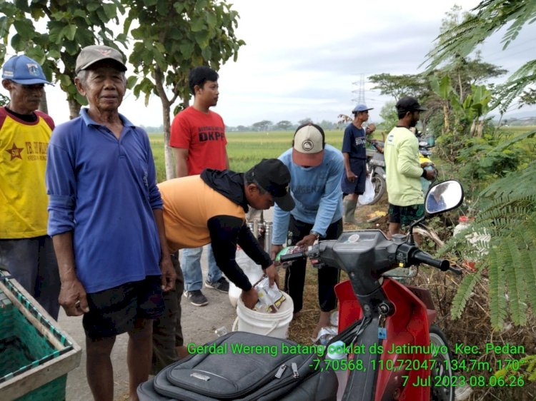 Kegiatan pelatihan tematik dan gerdal WBC di BPP pedan