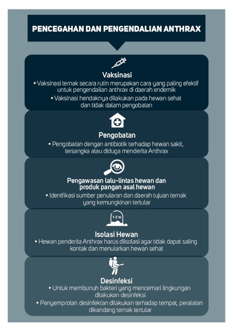 Waspada Anthrax, berikut cara penangananya