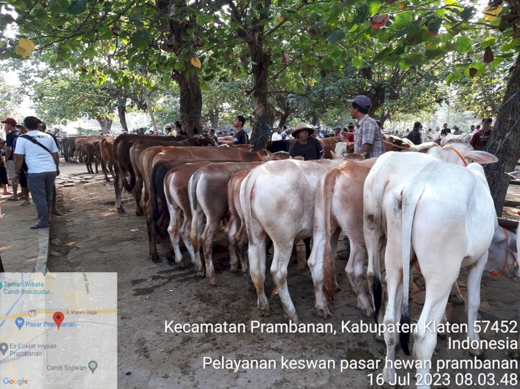 Pelayanan kesehatan hewan di Pasar Prambanan