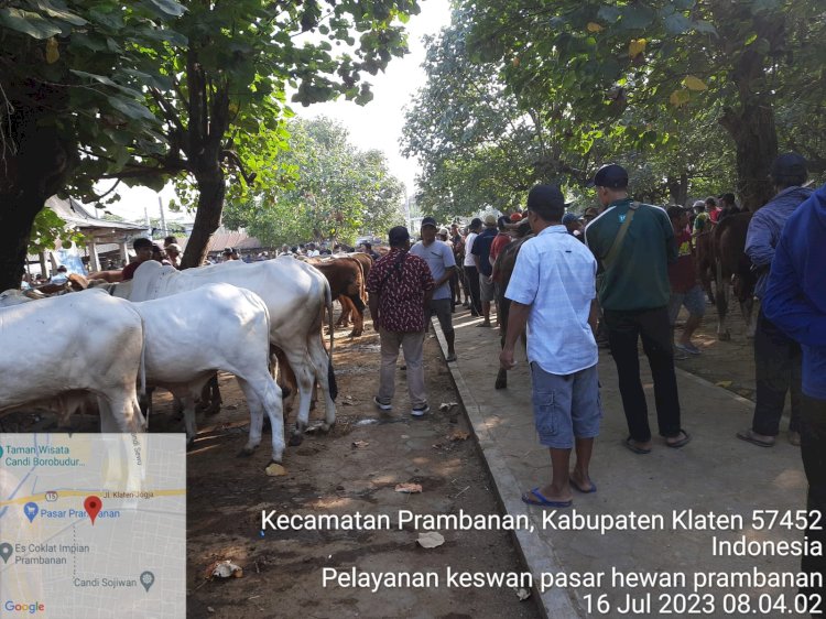 Pelayanan kesehatan hewan di Pasar Prambanan