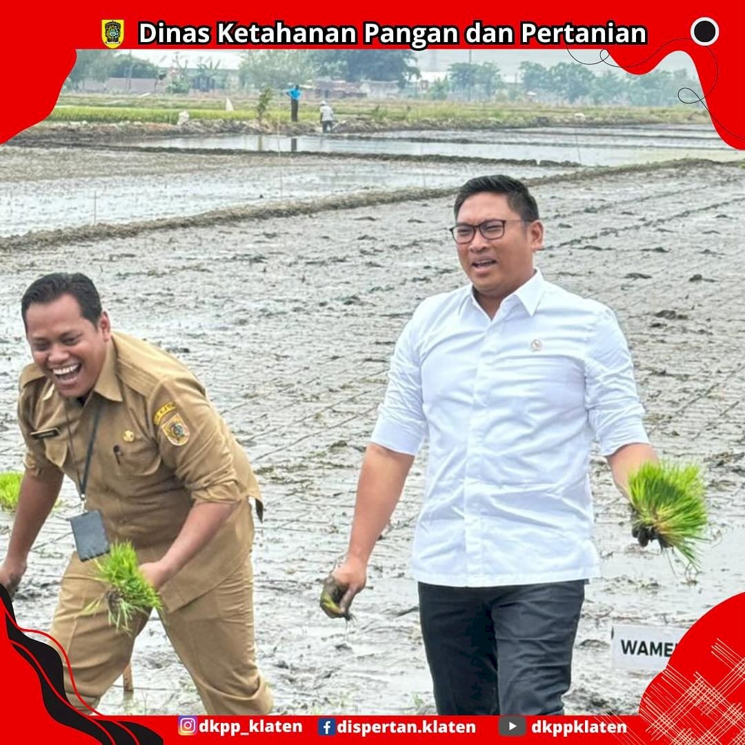 GERAKAN PERCEPATAN TANAM DKPP