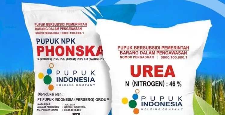 Jumlah alokasi subsidi pupuk yang diberikan oleh pemerintah tahun 2025