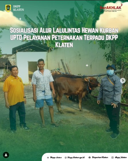 Pengawasan Kesehatan Ternak & Sosialisasi Alur Lalulintas Hewan Kurban UPTD Pelayanan Peternakan Terpadu DKPP Klaten Selasa, 30 April 2025