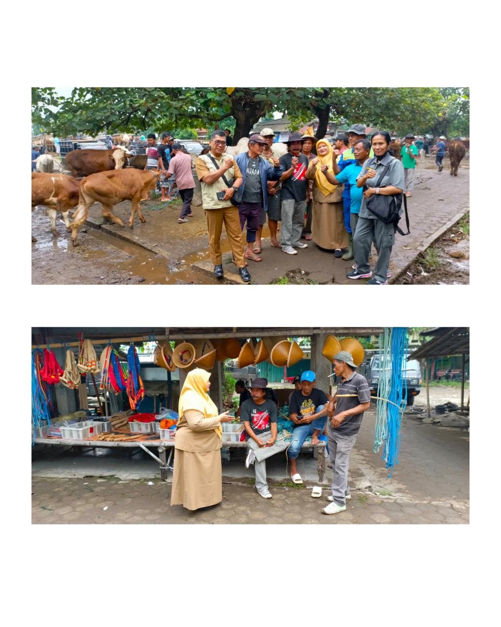Monitoring Kesehatan Ternak di Pasar Hewan Prambanan