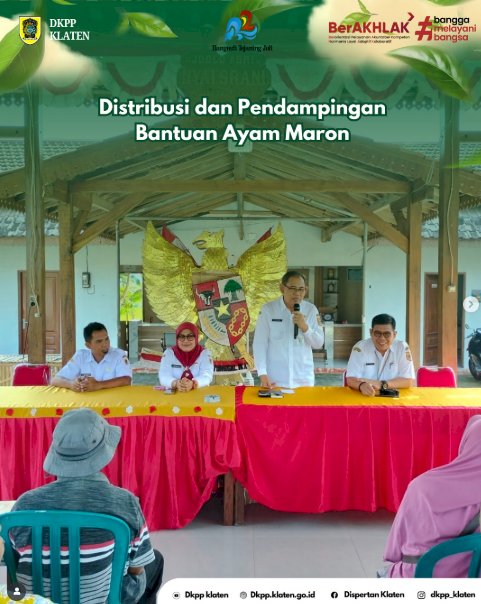 Distribusi dan Pendampingan Bantuan Ayam Maron