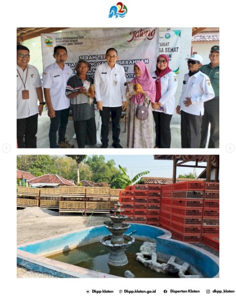 Distribusi dan Pendampingan Bantuan Ayam Maron