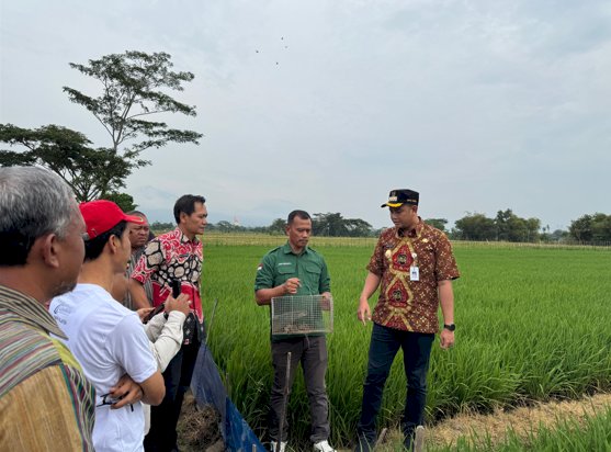 Inovasi Trap Barrier System di Karanganom