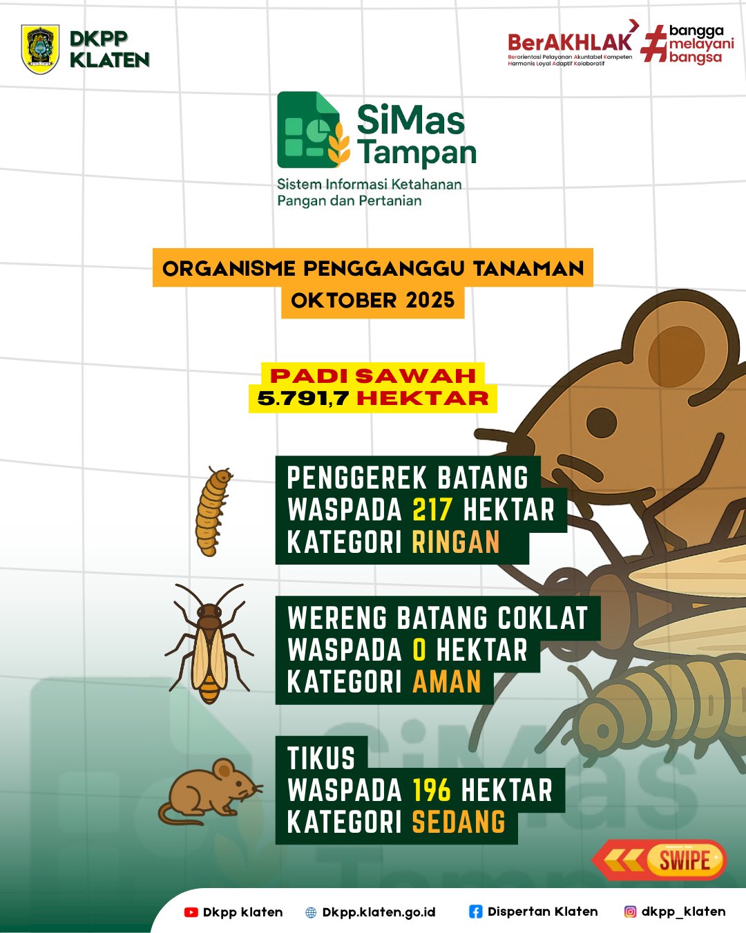 Update Data SIMAS TAMPAN Periode Desember 2025