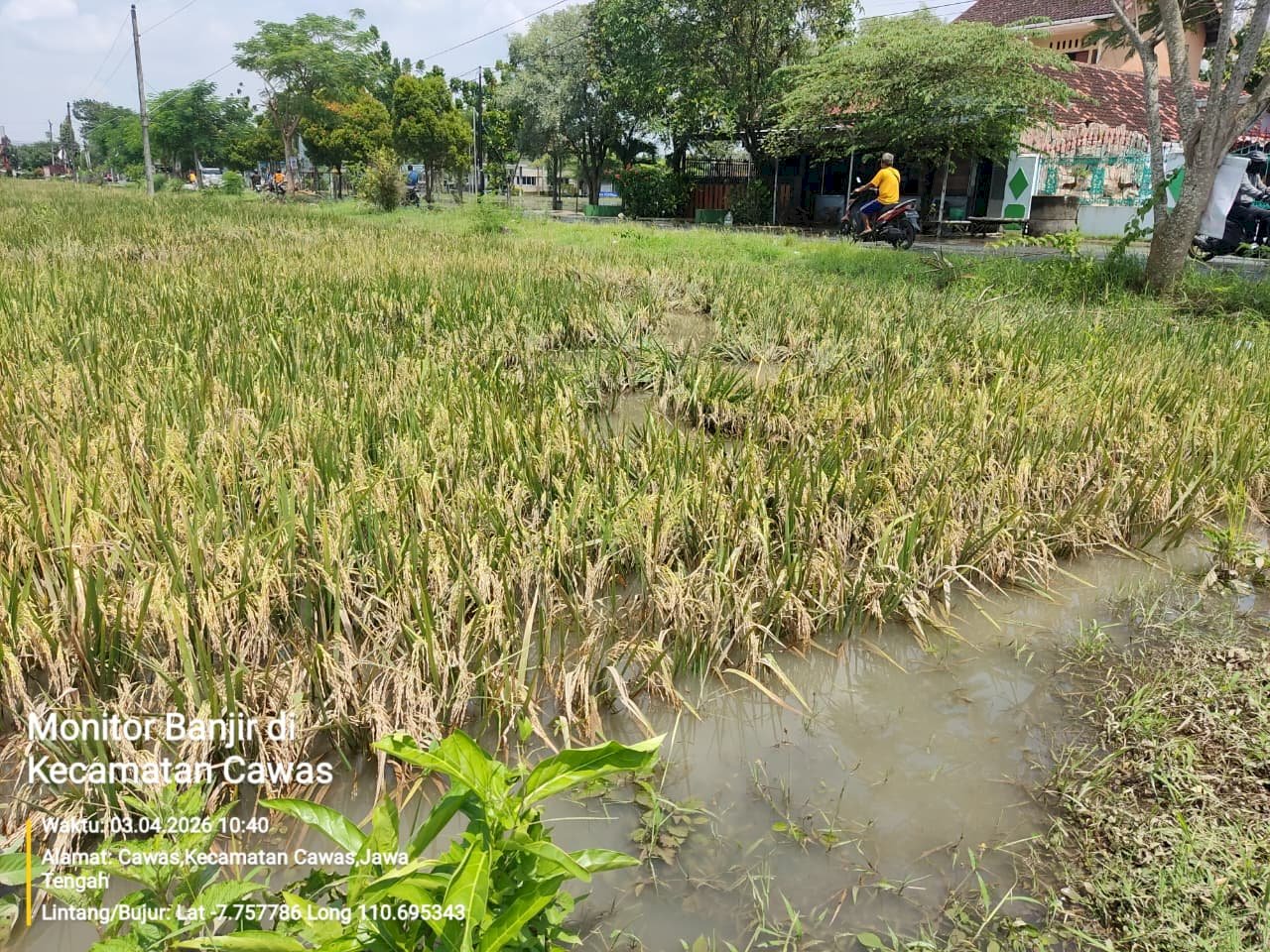 MONITORING BANJIR DI KECAMATAN CAWAS KABUPATEN KLATEN