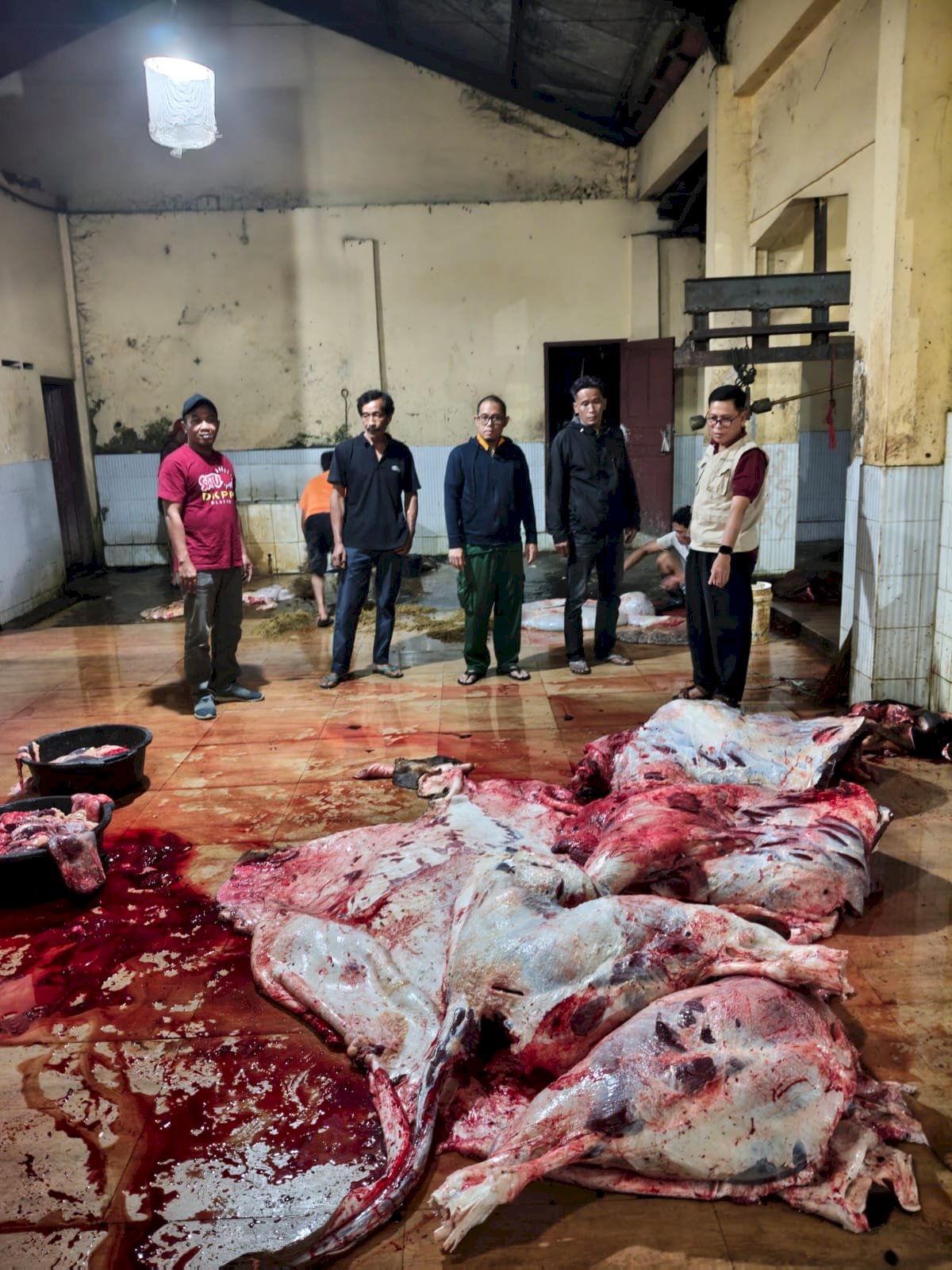 MONITORING RPH (Rumah Potong Hewan) MENJELANG HARI RAYA IDUL FITRI 1947 H