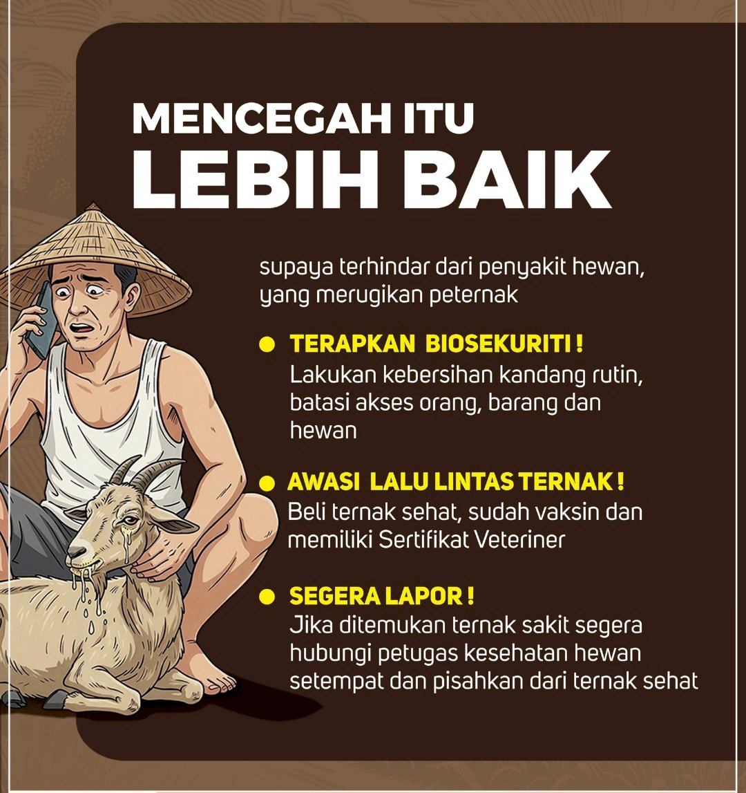 WASPADA!! PENYAKIT BARU PADA KAMBING DAN DOMBA