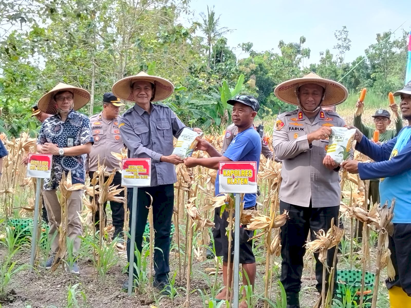 KEPALA DKPP KLATEN MENDAMPINGI KAPOLRES PANEN RAYA JAGUNG SERENTAK KUARTAL II