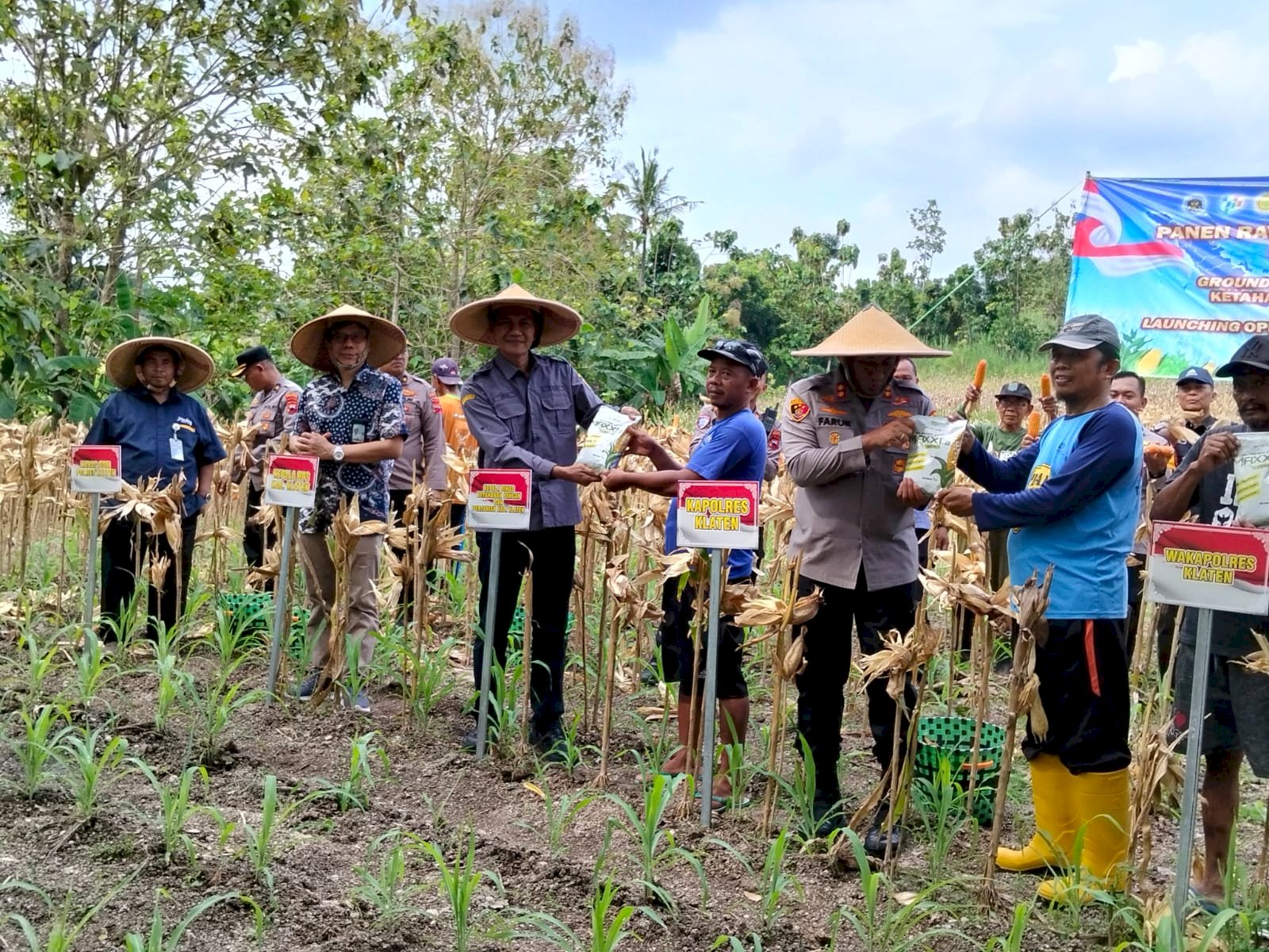 KEPALA DKPP KLATEN MENDAMPINGI KAPOLRES PANEN RAYA JAGUNG SERENTAK KUARTAL II